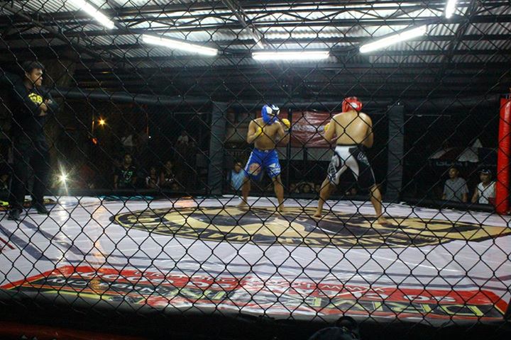 Spartacus COMBAT MMA 1