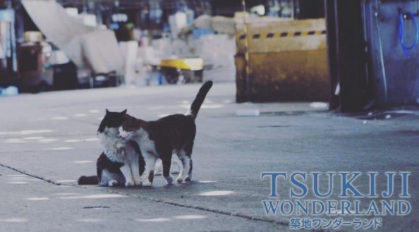 Tsukiji Wonderland, Eigasai PH, Shang Cineplex, JFF, Documentary
