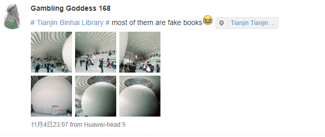 Tianjin Binhai, China, Library, fake, books,