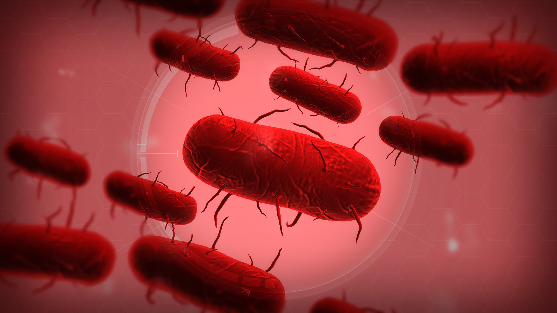 There is now a petition to include ‘anti-vaxxers’ as an added force in Plague Inc.