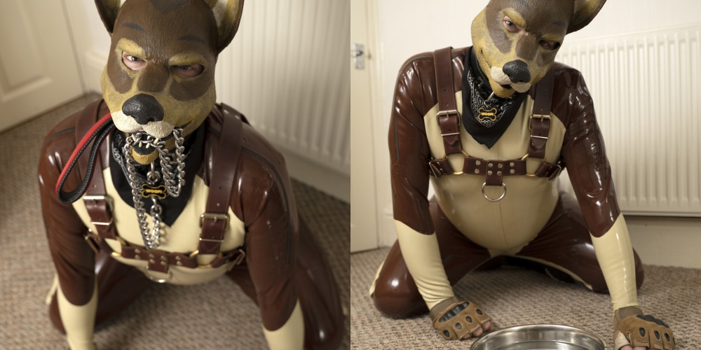 Man lives his life like a dog by wearing a canine suit and eating his meal from a bowl