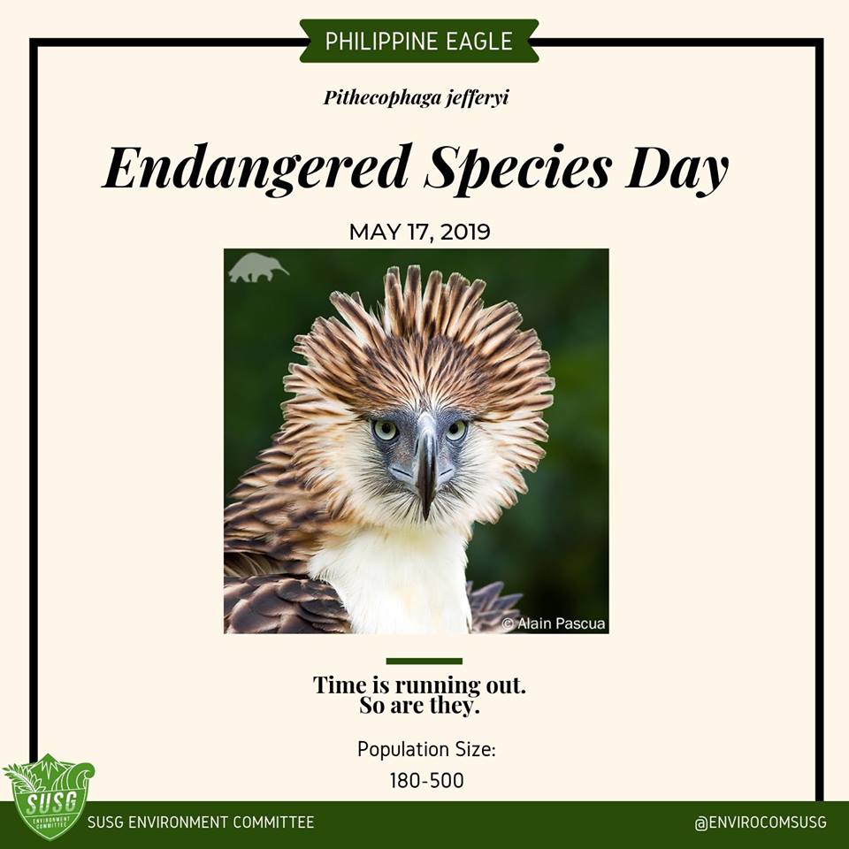 Time Is Running Out For These Critically Endangered Species In The Philippines