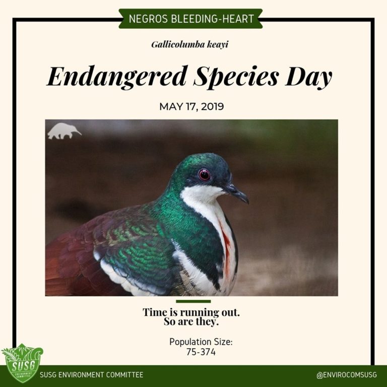 Time Is Running Out For These Critically-endangered Species In The ...