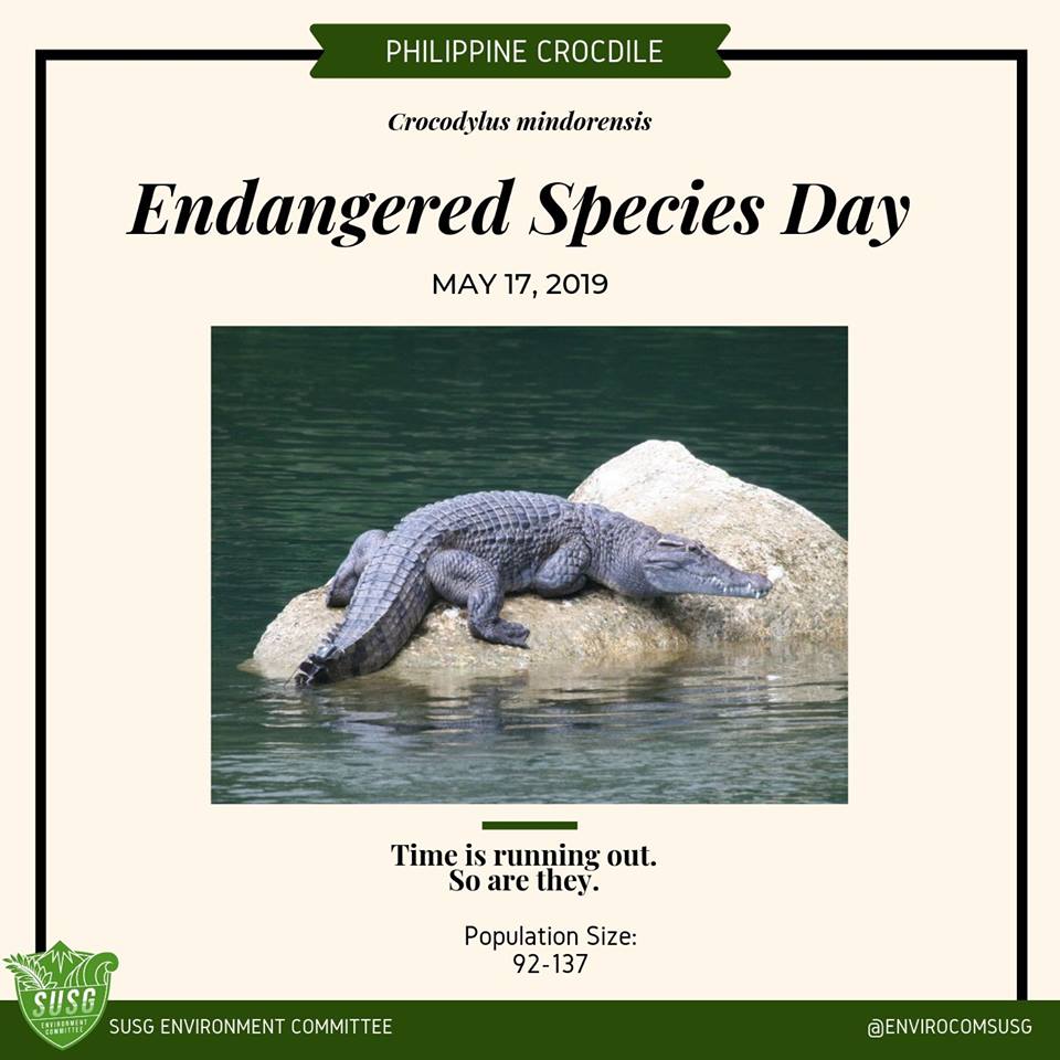 Time is running out for these critically-endangered species in the  Philippines