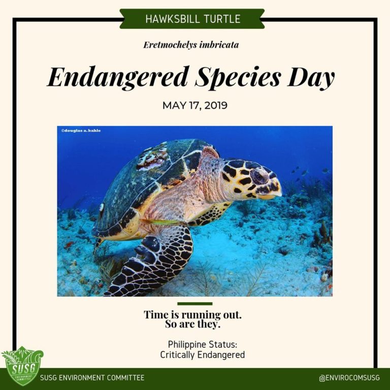 Time Is Running Out For These Critically-endangered Species In The ...