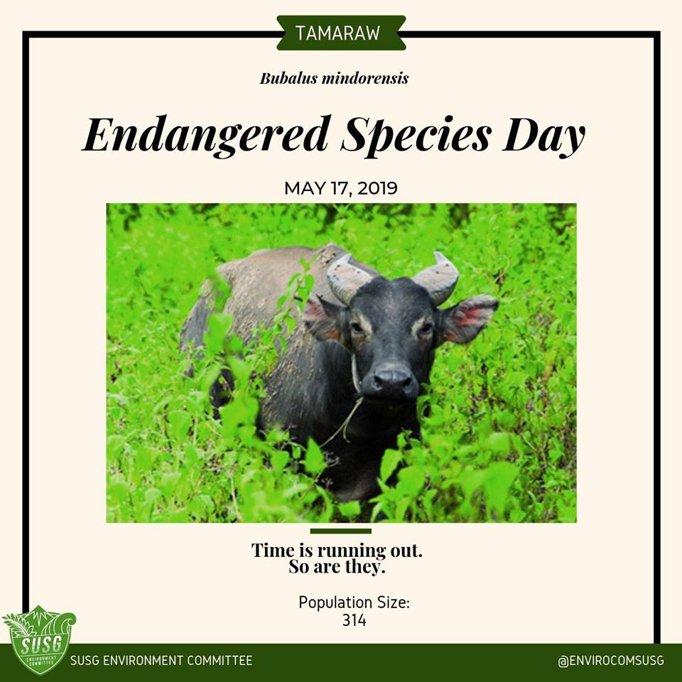 Time Is Running Out For These Critically Endangered Species In The Philippines