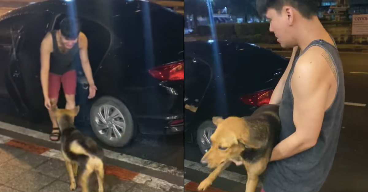 Man gets drunk, surprised after finding out he brought home a dog