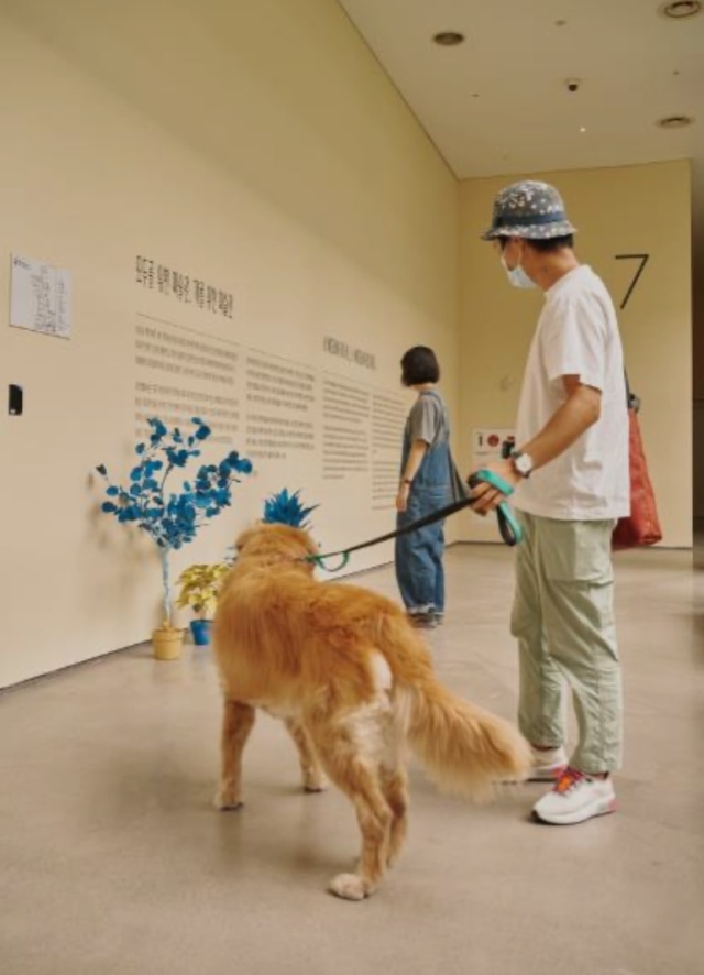 museum, dogs
