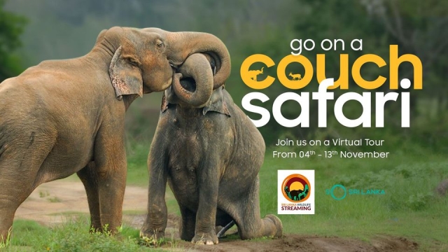 20201105 Sri Lanka couch safari