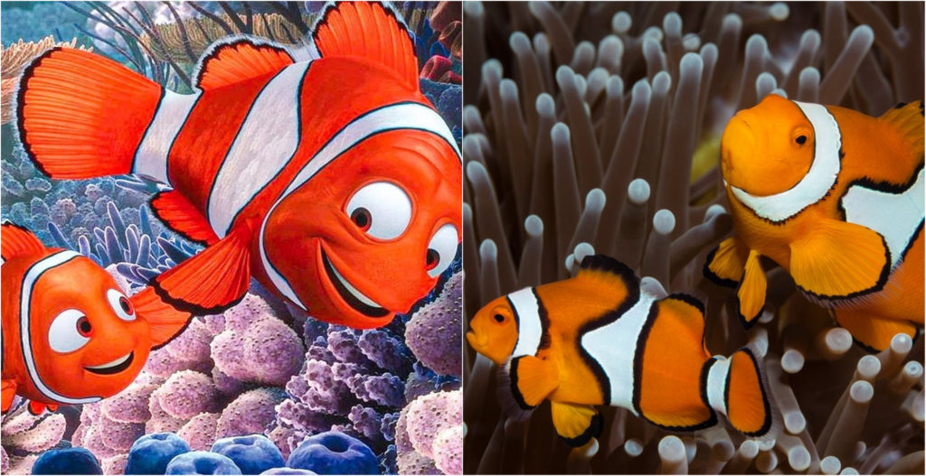 Disney Saving Nemo