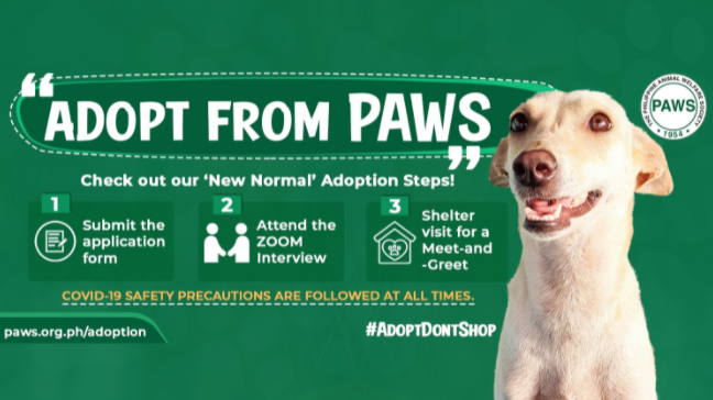 adopt from paws