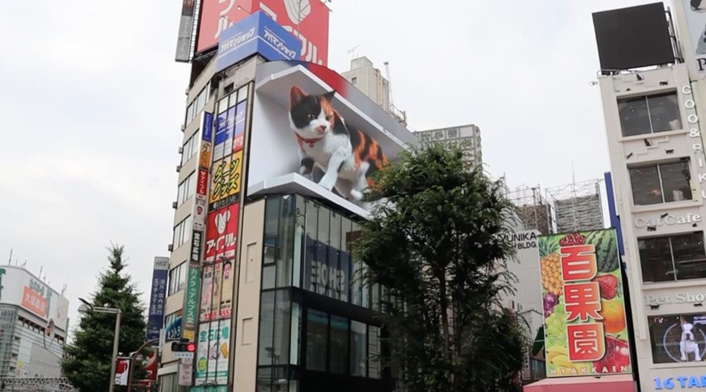 Cross Shinjuku Vision 3D Cat in Tokyo, Japan
