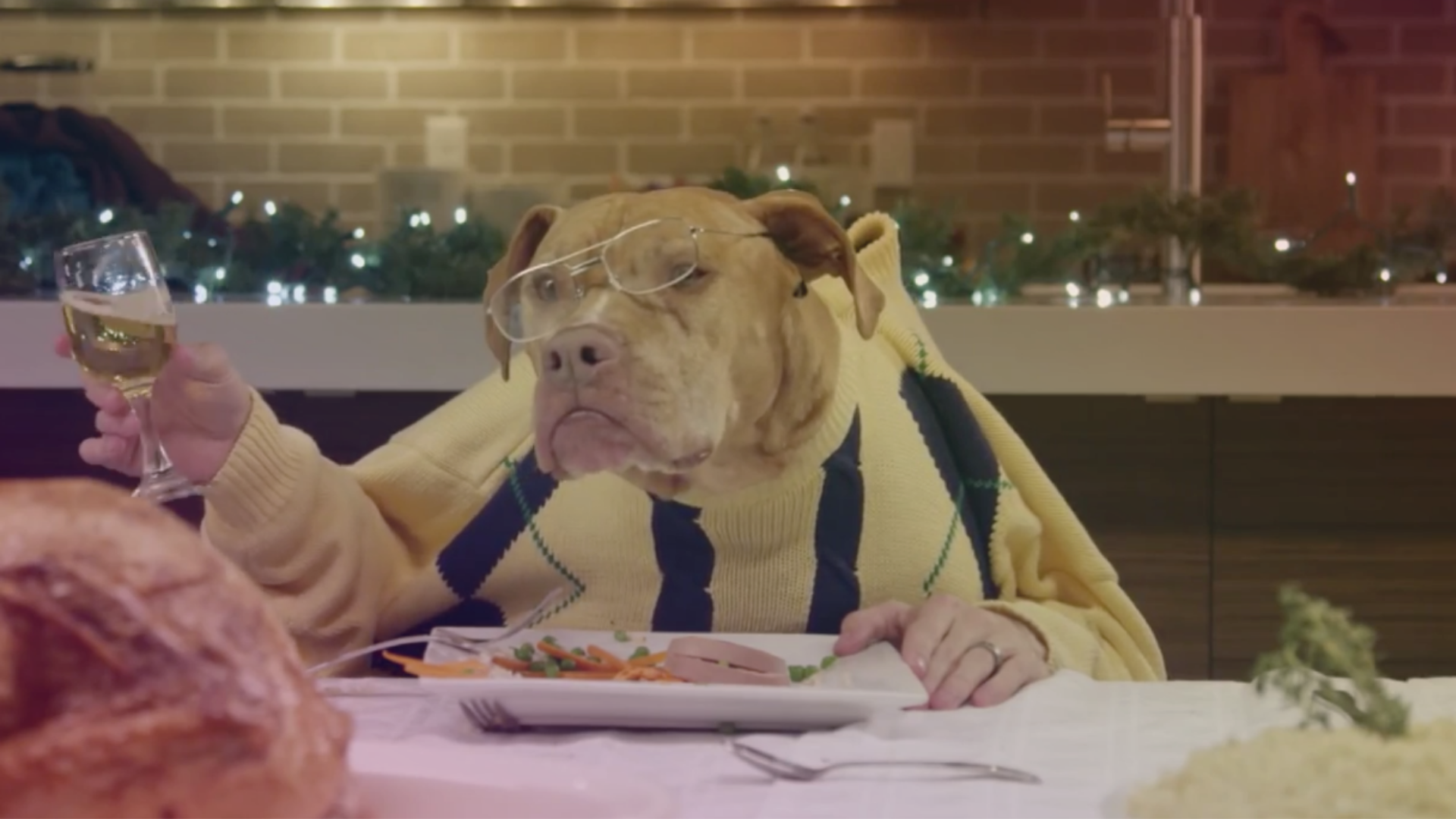 5 As-seen-on-TikTok dog friendly recipes of your fave dishes (for your pup)