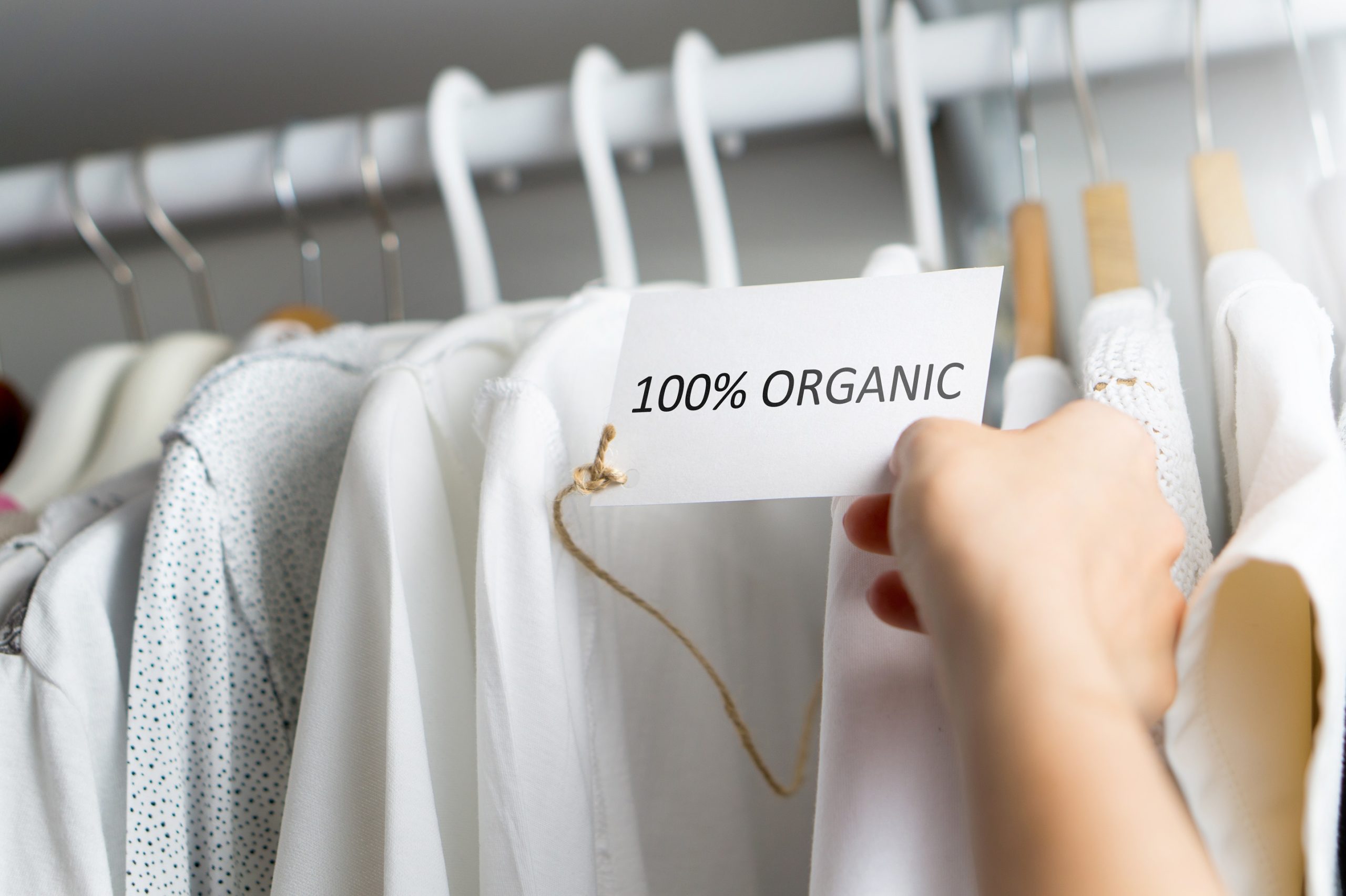 british organic fashion shopping etx