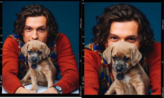 Tom Holland does a puppy photoshoot for ‘Uncharted’ premiere