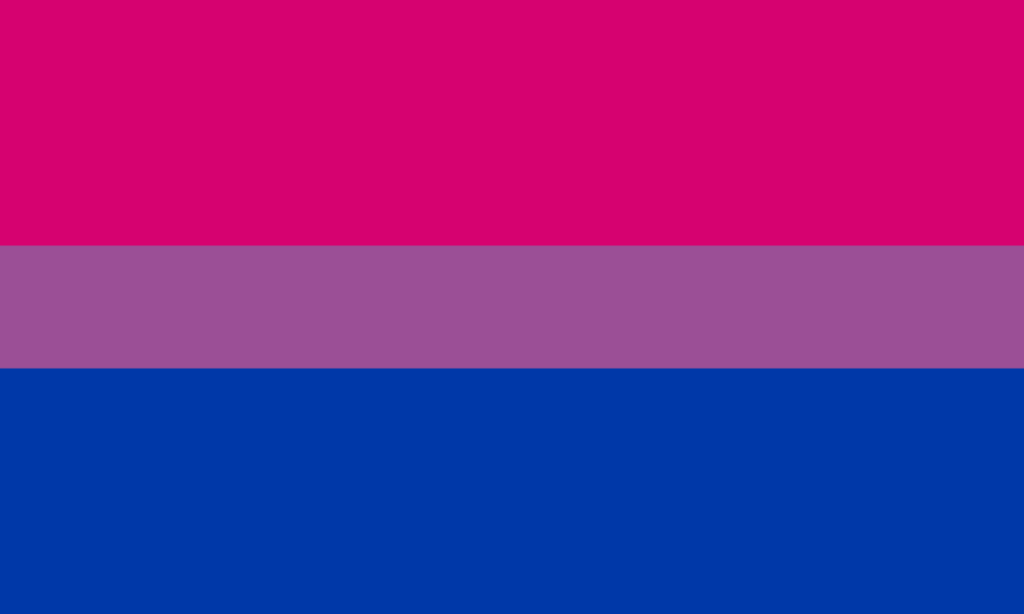 lgbtqia+ flags, pride month, pride flags