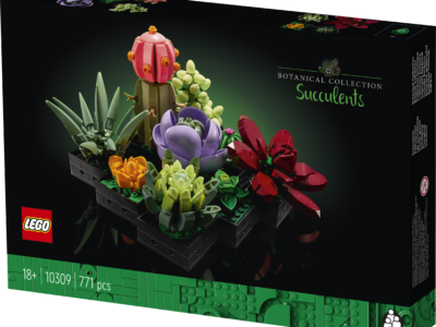 LEGO® adds orchid and succulents to new Botanical Collection