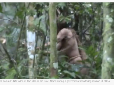 “Man of the hole,” the last survivor of an Indigenous tribe in Brazil, dies