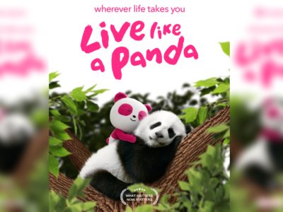 Live life on your own terms—live like a panda