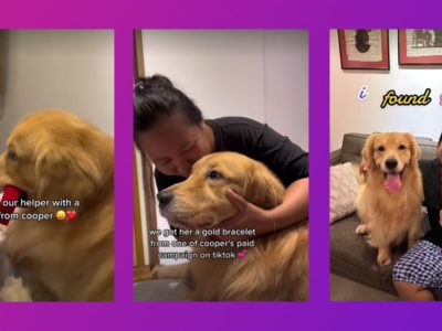WATCH: Golden retriever influencer ‘retrieves’ gold to give as gift to family’s helper