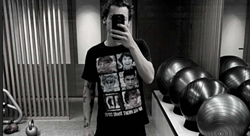 Harry Styles Accidentally Posted a Selfie Wearing One Direction Merch