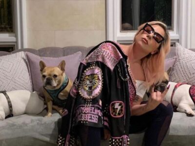 Lady Gaga seeks to dismiss lawsuit regarding her refusal to pay $500,000 reward for her stolen dogs