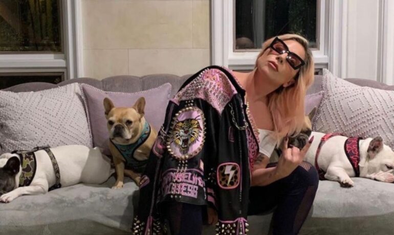 Lady Gaga seeks to dismiss the lawsuit regarding the $500,000 reward for her stolen dogs pop inqpop