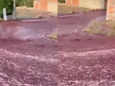 ‘Wine flood’: A town in Portugal gets flooded with red wine after distillery’s tank explodes