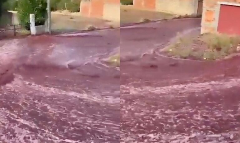 'Wine flood' A town in Portugal gets flooded with red wine after distillery's tank explodes pop inqpop