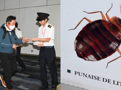 Hong Kong heightens bedbug warning for airport passengers due to Seoul outbreak