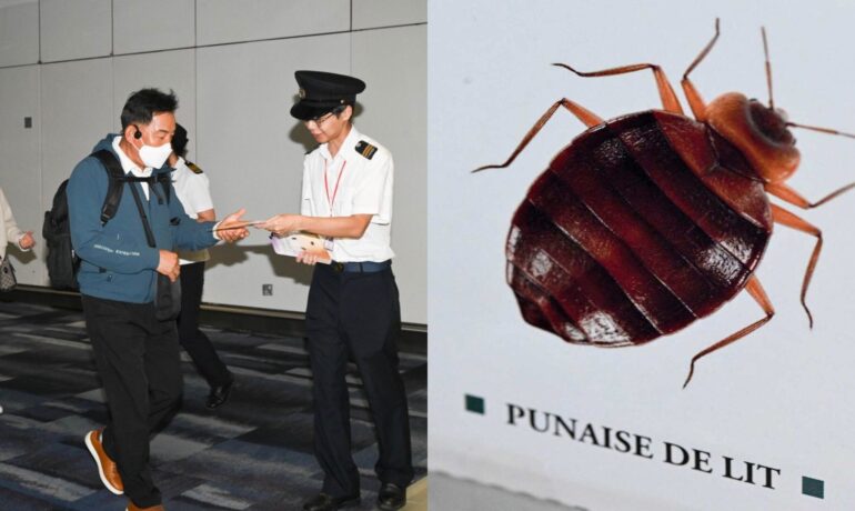 Hong Kong heightens bedbug warning for airport passengers due to Seoul outbreak pop inqpop