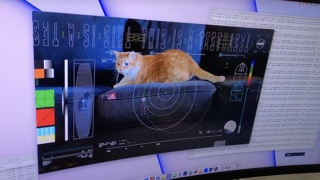 Cat NASA