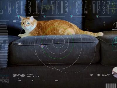 NASA streams cat video from deep space via laser