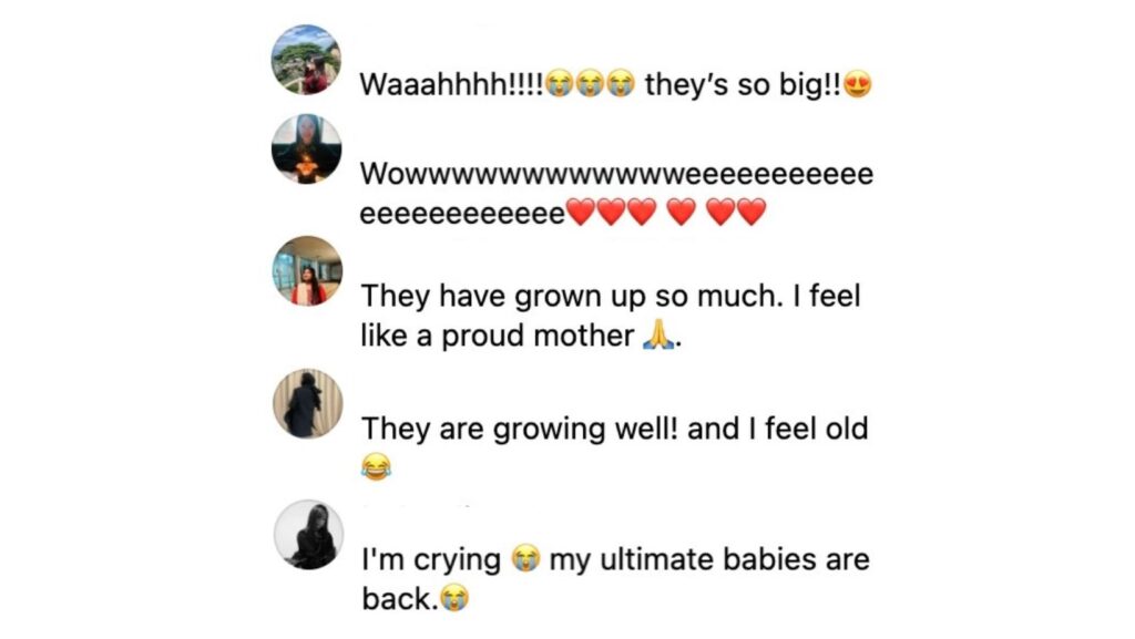 Comments about the triplets