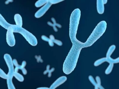 ‘Male extinction?’: Study reports men’s Y chromosome faces slow decline