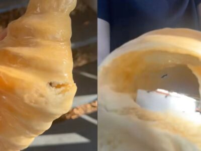 Woman left in shock after discovering the truth about her croissant lamp