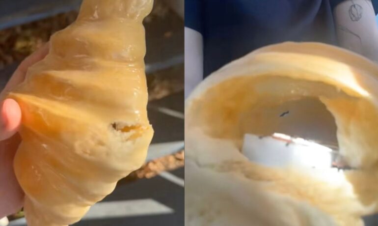 Woman left in shock after discovering the truth about her croissant lamp