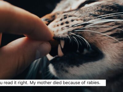 Social media user raises awareness on rabies after losing mother to a stray cat bite