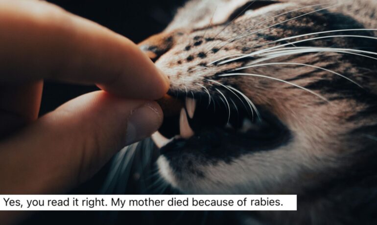 Social media user raises awareness on rabies dangers after losing mother to a stray cat bite